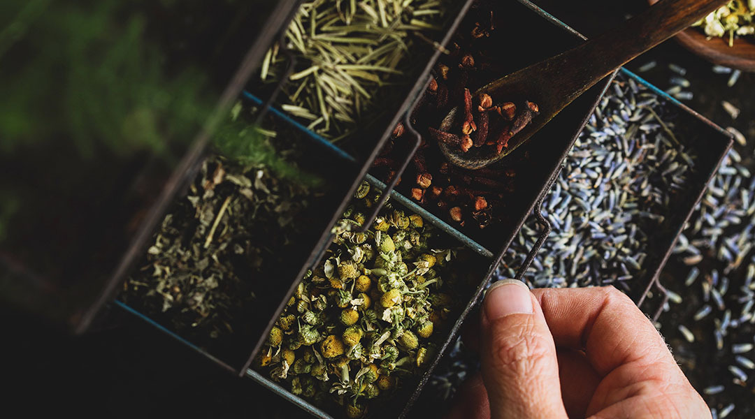 Learn more about our loyalty program