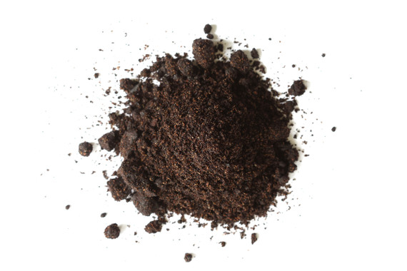 Elder Berry Powder