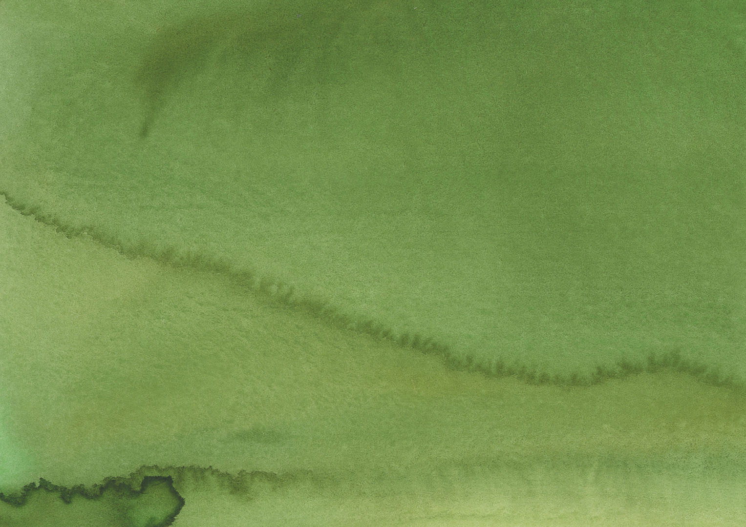 decorative background image