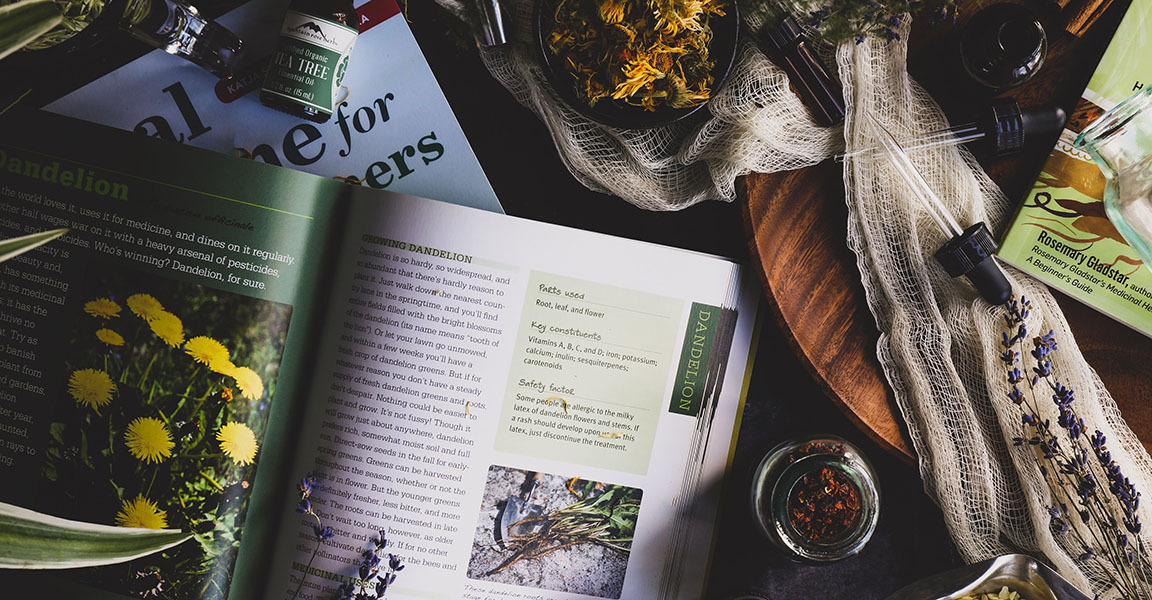 Function: Focus & Cognition