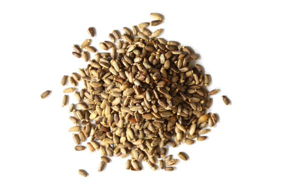 Organic Milk Thistle Seed