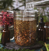 Organic Rhodiola Root 2