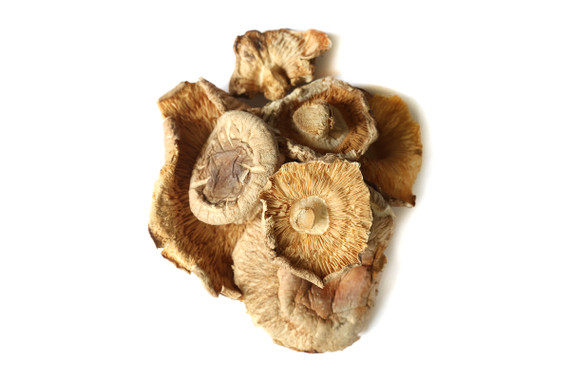 Organic Shiitake Mushroom